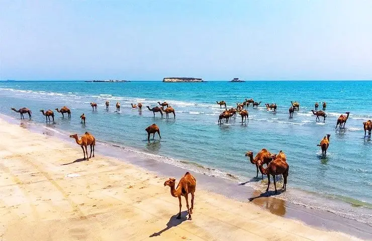 ساحل زیبای قشم