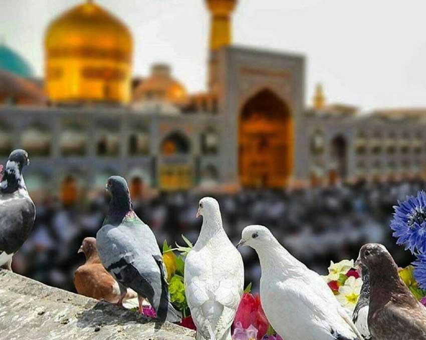 تور مشهد هتل قصر سفید